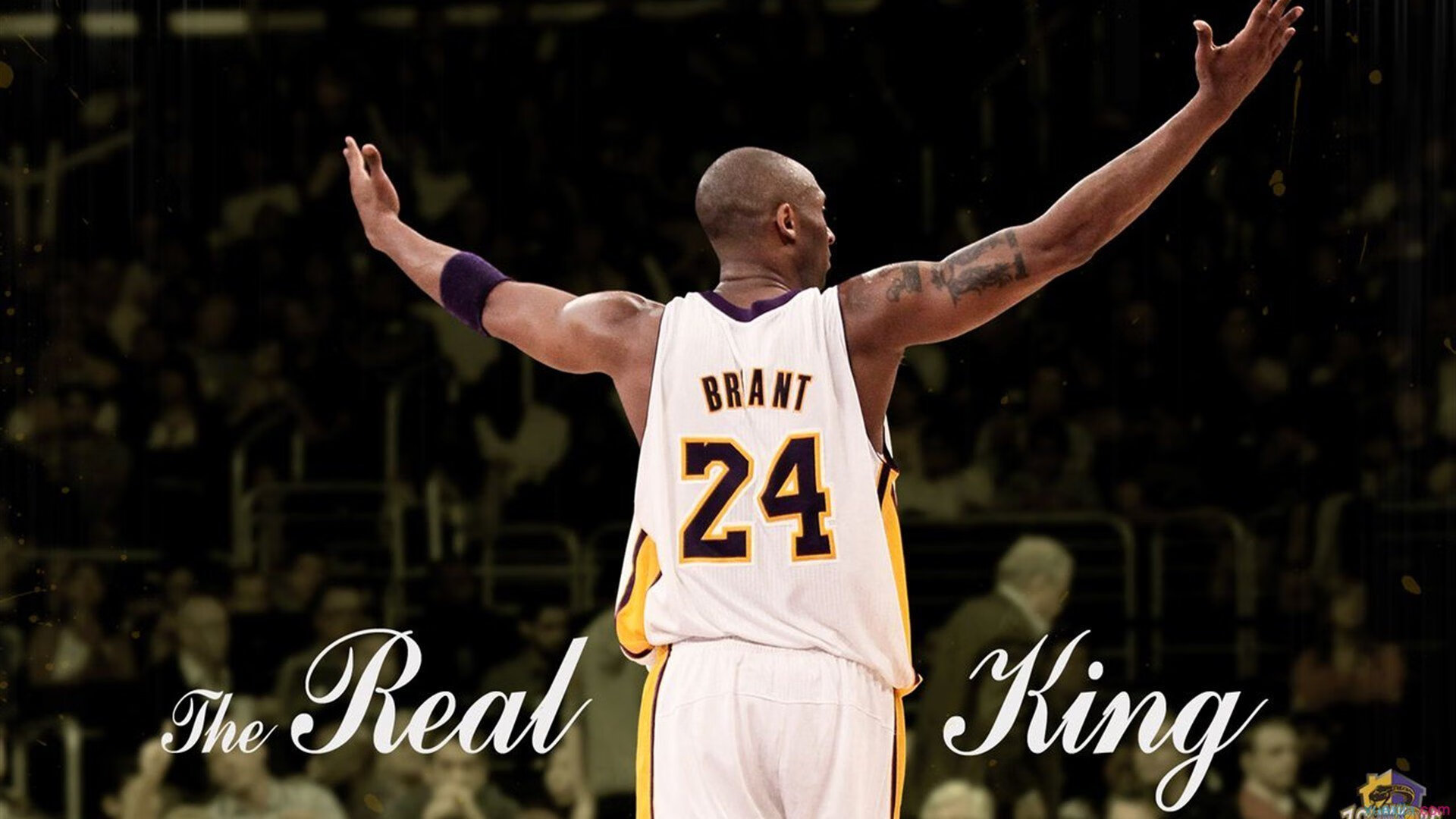 《未来电竞场馆：虚拟与现实融合的全沉浸体验》，未来电竞市场前景巨大