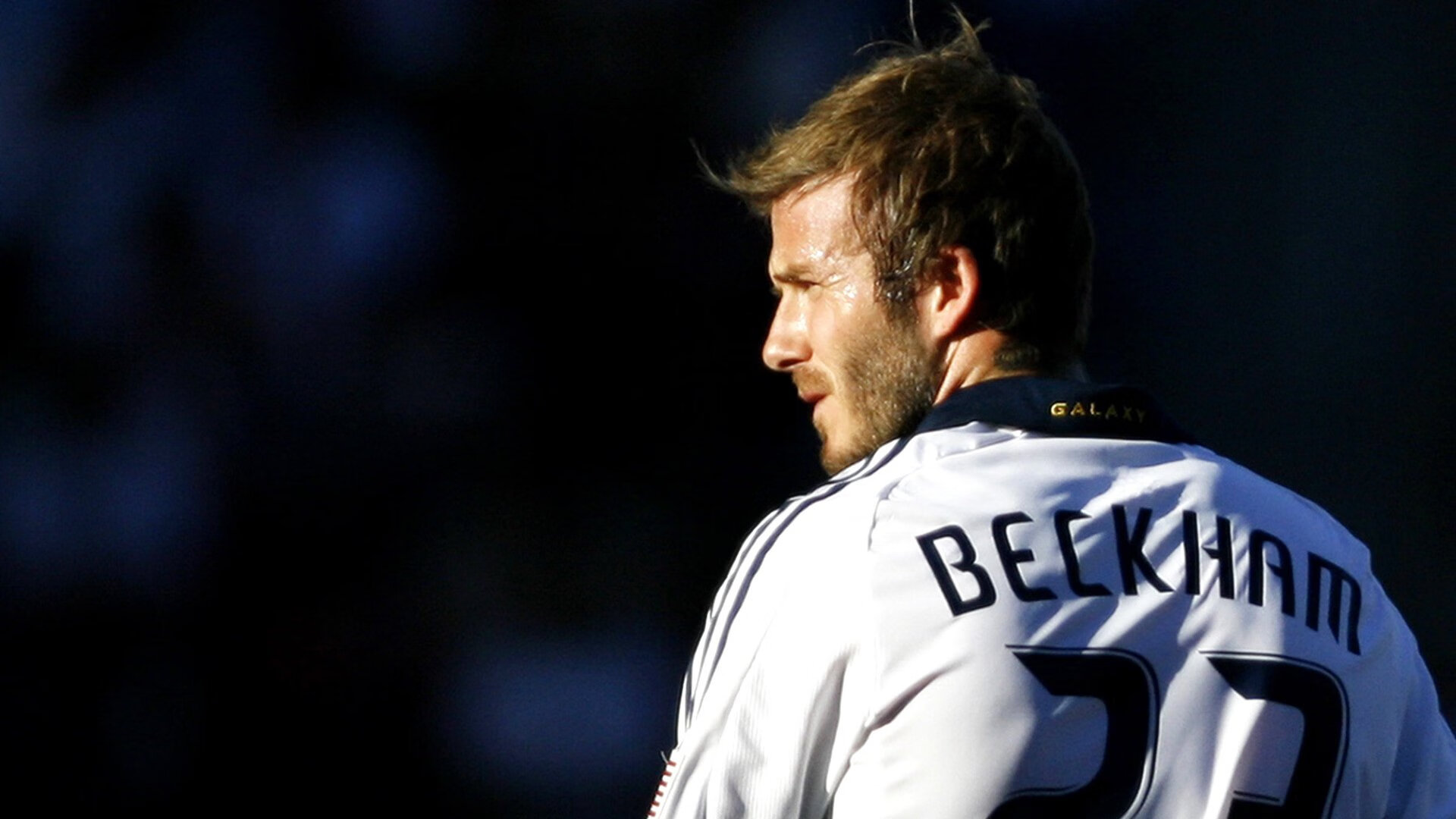 墨西哥马术协会授予费德里科·费尔南德斯“年度最佳障碍赛骑手”称号。